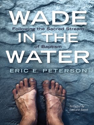 cover image of Wade in the Water
